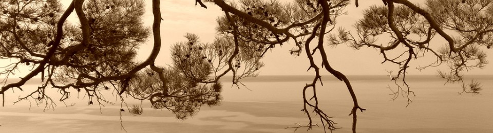 Στιχομαχίες